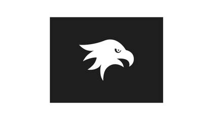 Windhawk