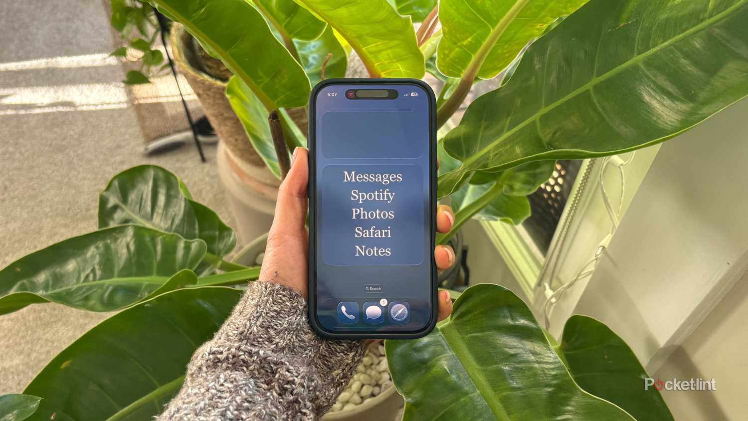 A dumb iPhone. 