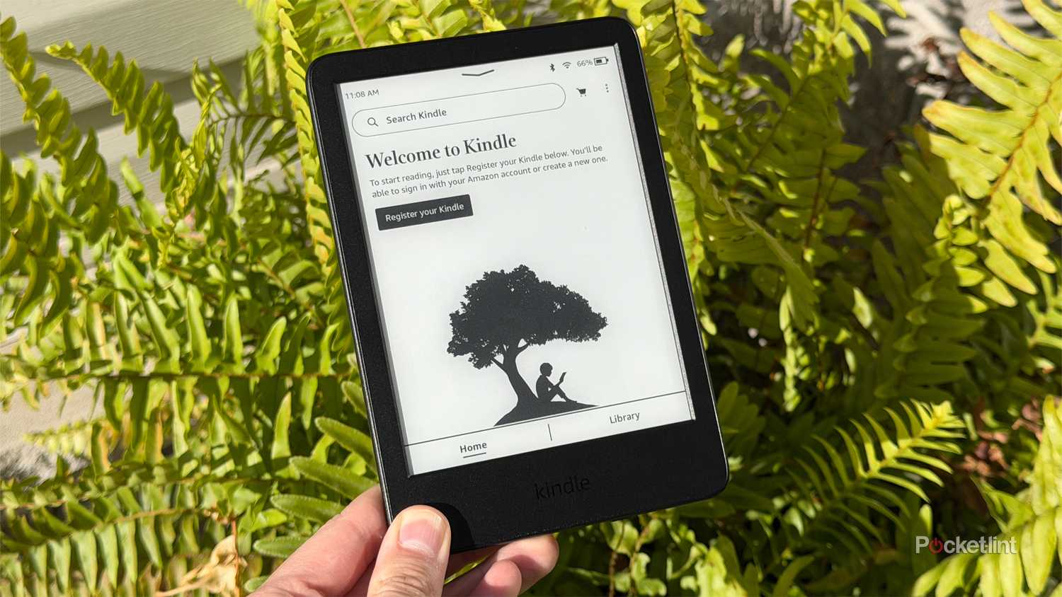Kindle in front of plant.