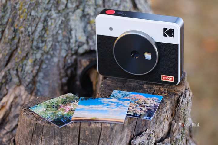 The Kodak Mini Shot 3 Retro sits on a stump outside