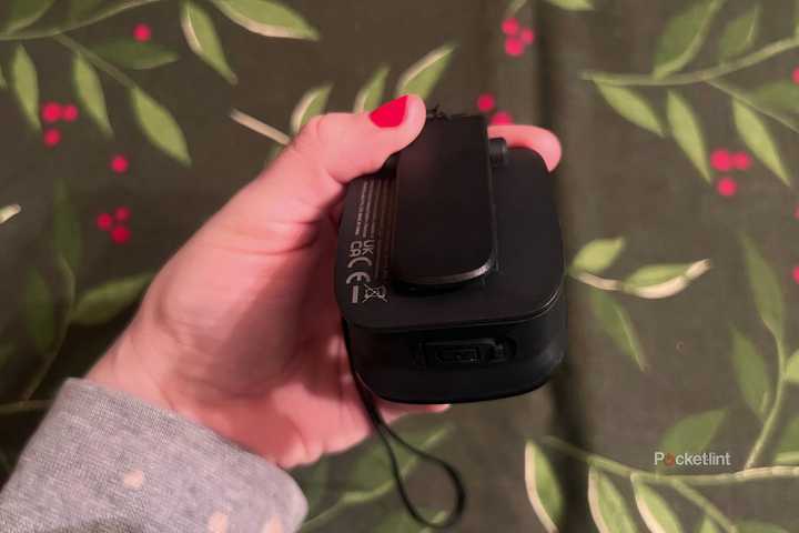 muvo free back