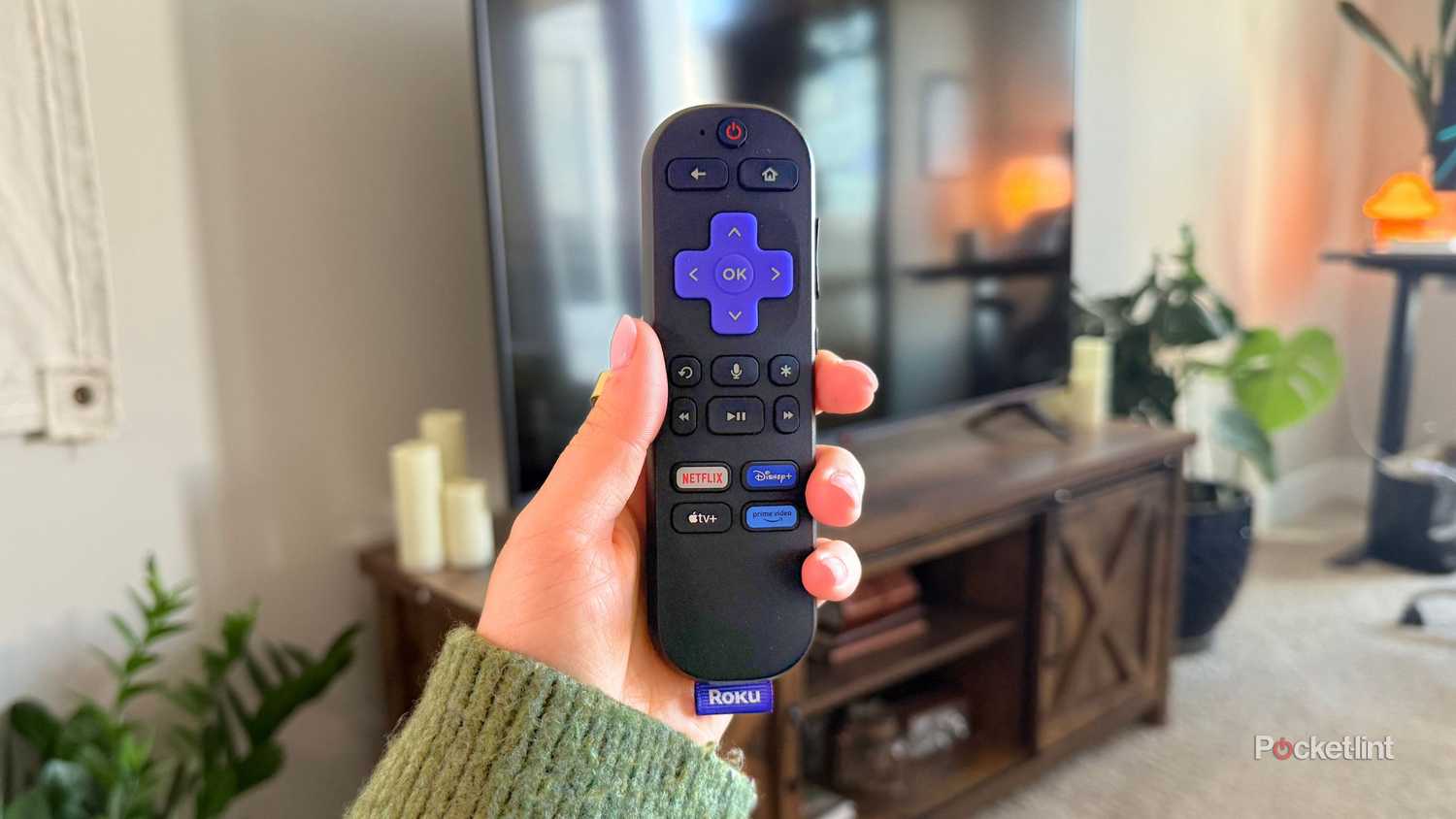Roku buttons. 