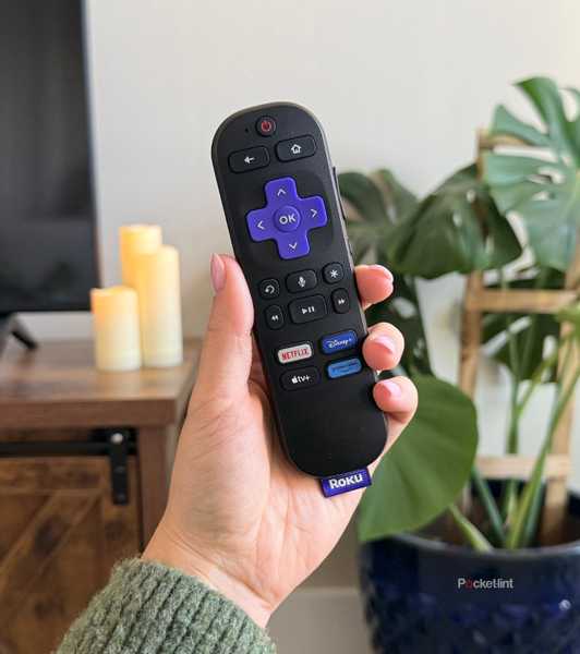 Roku buttons. 